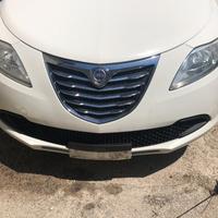 Musata lancia ypsilon