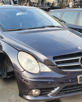 Ricambi Mercedes R320 cdi 2009