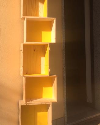 Librerie con casse di vino