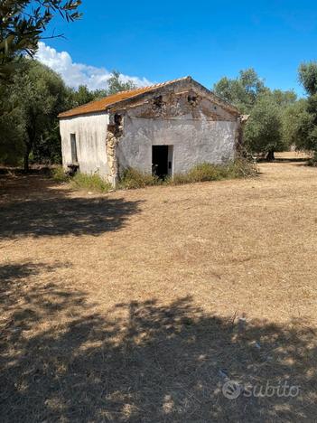 Costa Paloni terreno con rudere da ricostruire