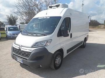 Fiat Ducato frigo coibentato medio alto