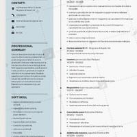 Vigilanza, magazziniere, corriere ecc