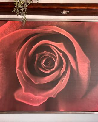 Quadro con stampa rosa rossa