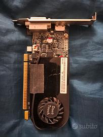 scheda grafica GeForce GTX  745 - 4 GB