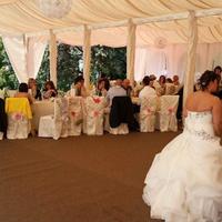 Tendoni per Eventi Professionali 8 x 20 x 3/4,4 mt