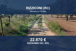 Immobile in asta di 8474 m² a Rizziconi