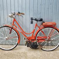 BICICLETTA  TORPADO CON MOTORE MOSQUITO