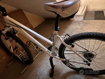Bicicletta da donna
