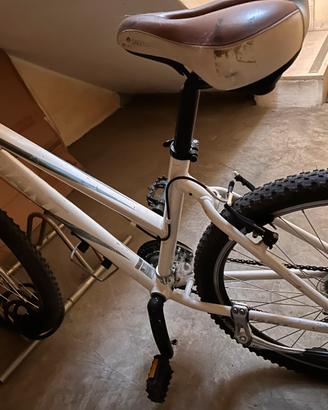 Bicicletta da donna