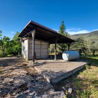 Terreno di 3300mq con uliveto - Sonnino(LT)