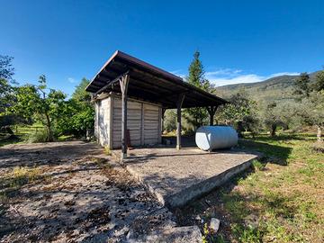Terreno di 3300mq con uliveto - Sonnino(LT)