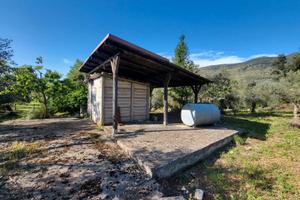 Terreno di 3300mq con uliveto - Sonnino(LT)