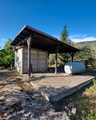 Terreno di 3300mq con uliveto - Sonnino(LT)
