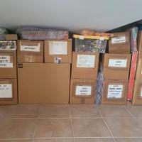 Kg LEGO DIVISI PER COLORE E TIPOLOGIA 