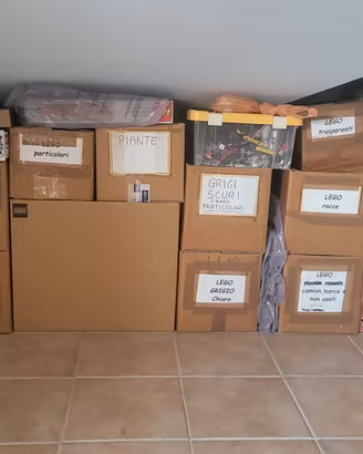 Kg LEGO DIVISI PER COLORE E TIPOLOGIA 
