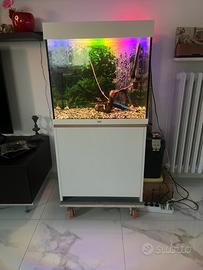 Acquario Juwel Lido da 120l