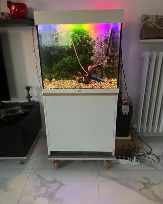 Acquario Juwel Lido da 120l