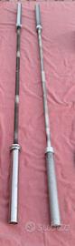 Bilancieri 20kg Powergear e Lacertosus