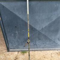 Bolognese 6 metri Colmic con mulinello Daiwa