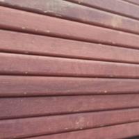 TRAVETTI MASSELLO TATAJUBA- PER ESTERNO