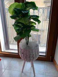 Vaso di fiore