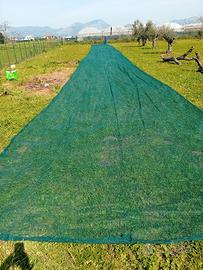 Rete occhiellata per raccolta olive