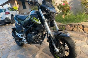 Moto benelli TNT 125