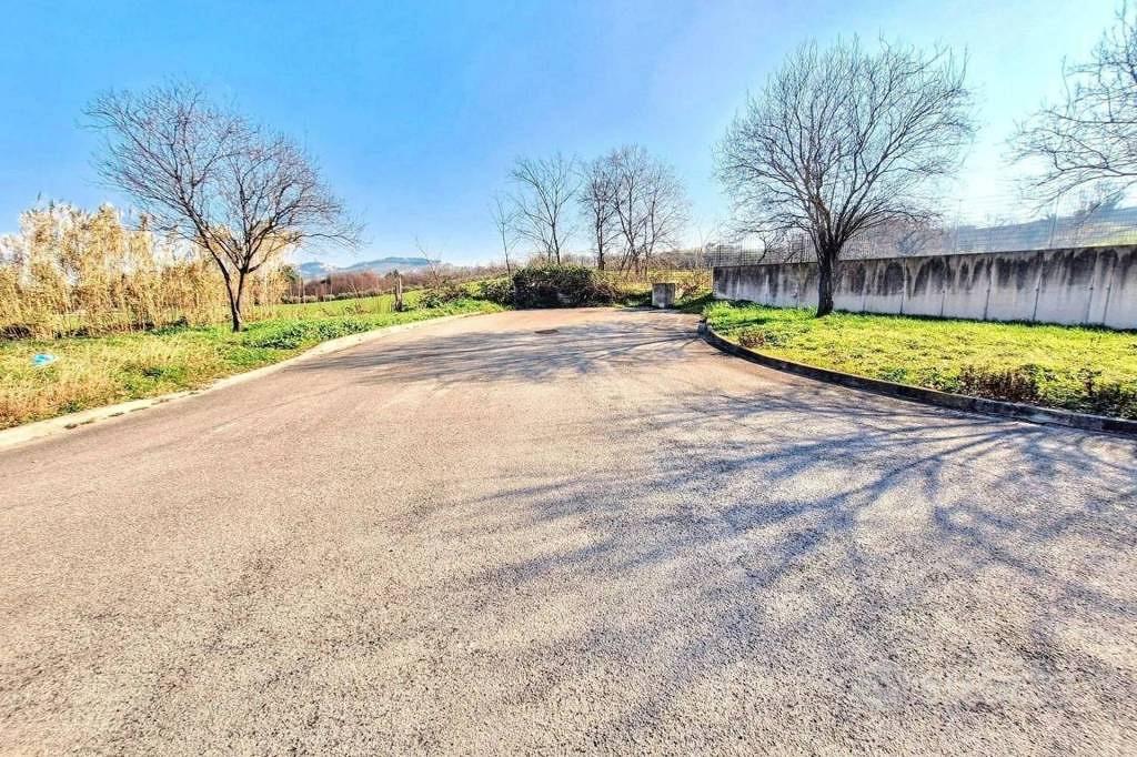 Immobile in asta di 13347 m² a Montelupone - Vista 3