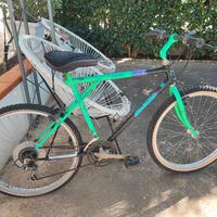bici mountain-bike 