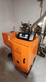 Caldaia policombustibile d'alessandro cs30