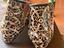 Immagine 5