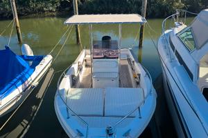 Cantiere Bral mod. Sauro + Mercury 150cv Optimax