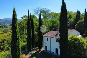 CASA INDIPENDENTE A CALVI DELL'UMBRIA