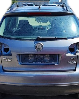 Volkswagen Golf Plus 1.9 Tdi cod. mot. BXE