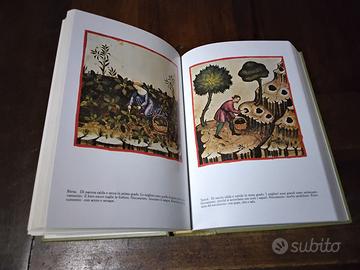 Storia d'italia