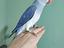Immagine 1
