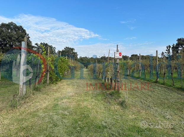 Terreno Agricolo Graffignana [Cod. rif 3189864VRG]