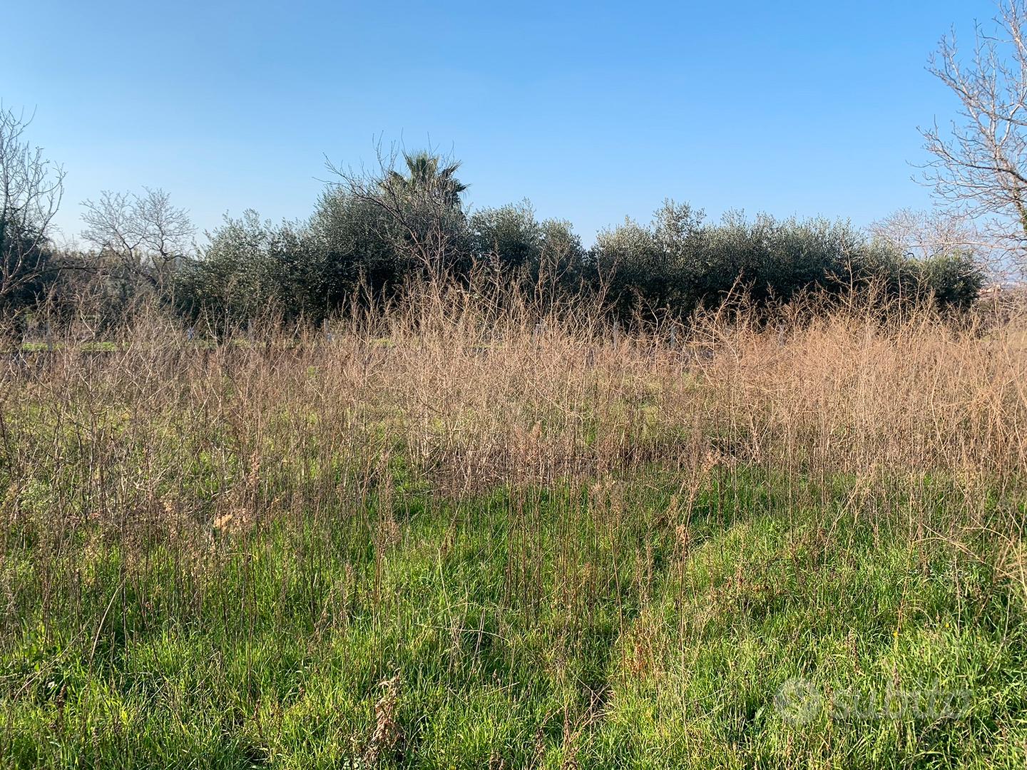Terreno in Somma Vesuviana (NA) - Vista 6