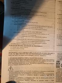 Saldatrice a Filo a corrente di 220 Volt