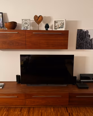 Mobile tv design Riva 1920