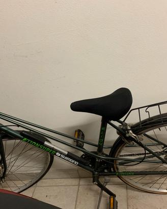 Bicicletta donna