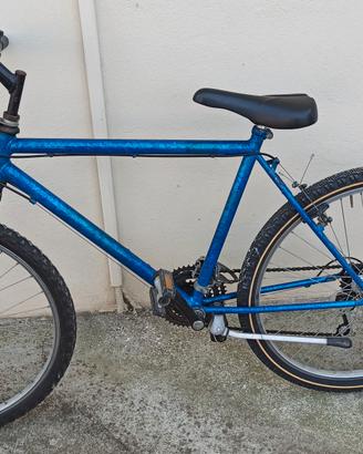 Bici Ragazzo/a 