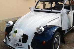 Citroen 2cv - 1981