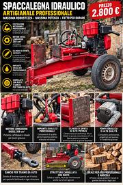 SPACCALEGNA PROFESSIONALE  LOMBARDINI DIESEL
