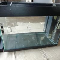 vasca per aquario