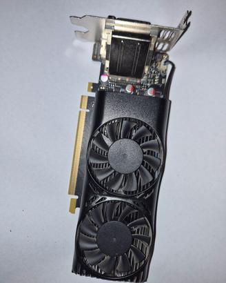 Scheda Video GTX 1050 Ti 4GB Low Profile