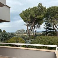 Fittasi villa nei pressi di polignano