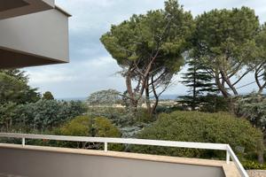 Fittasi villa nei pressi di polignano