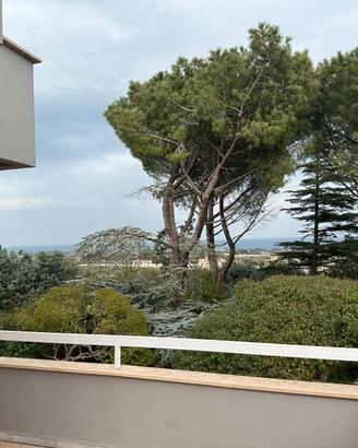 Fittasi villa nei pressi di polignano