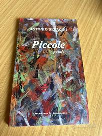 Antonio Seracini Piccole poesie